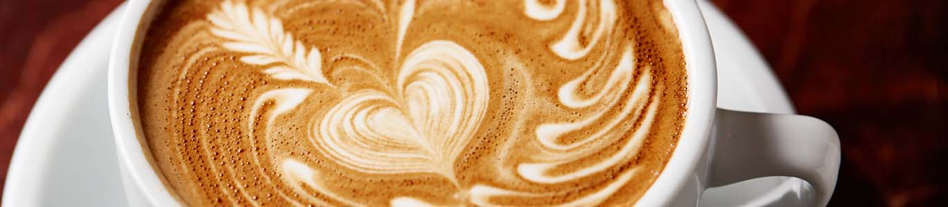barista barista